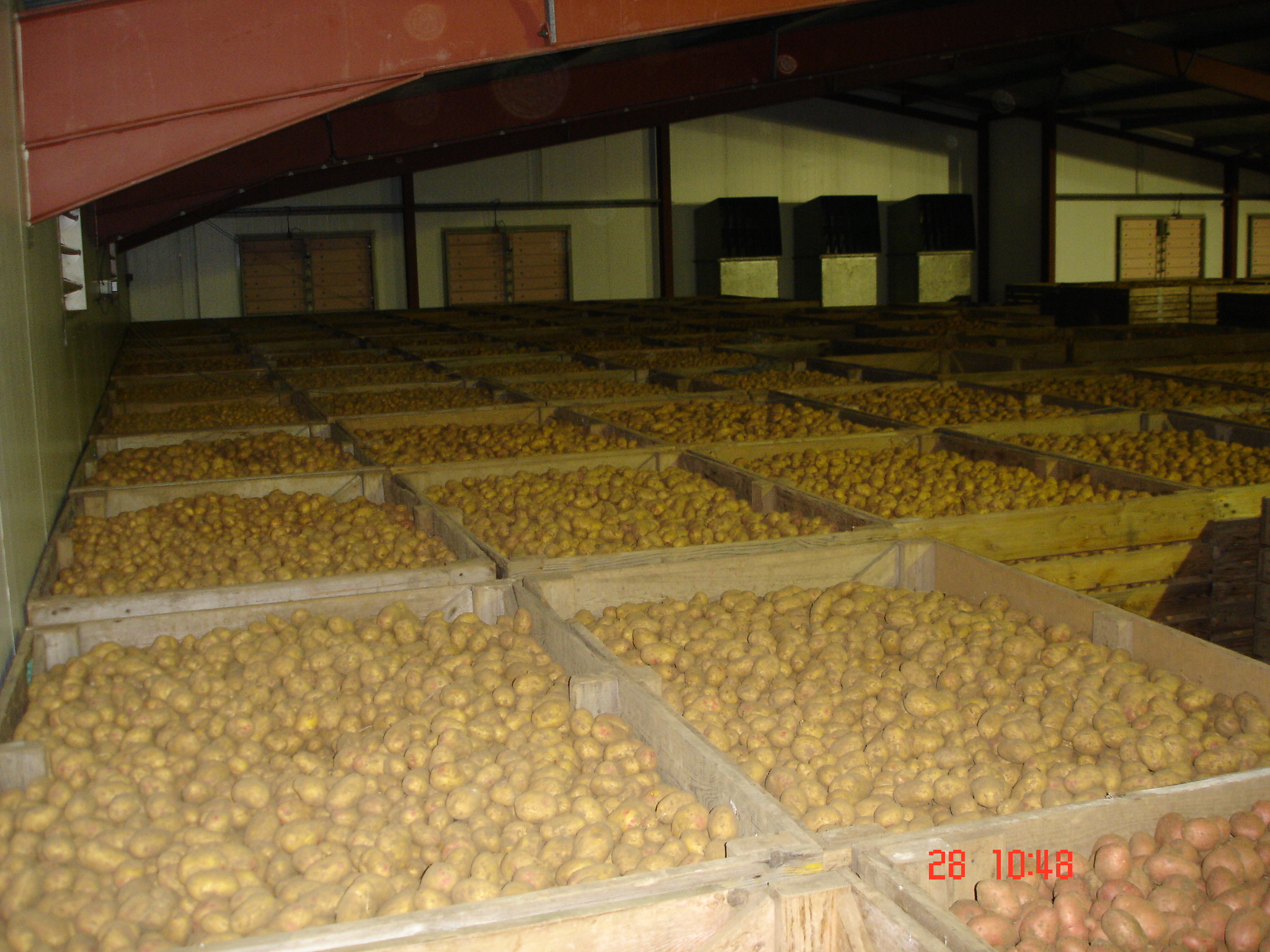 Seed Store