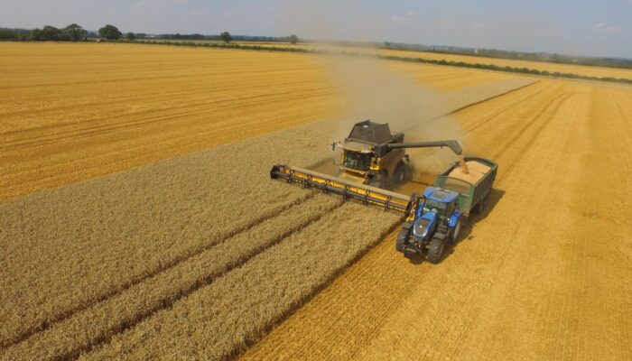 Harvest 2023