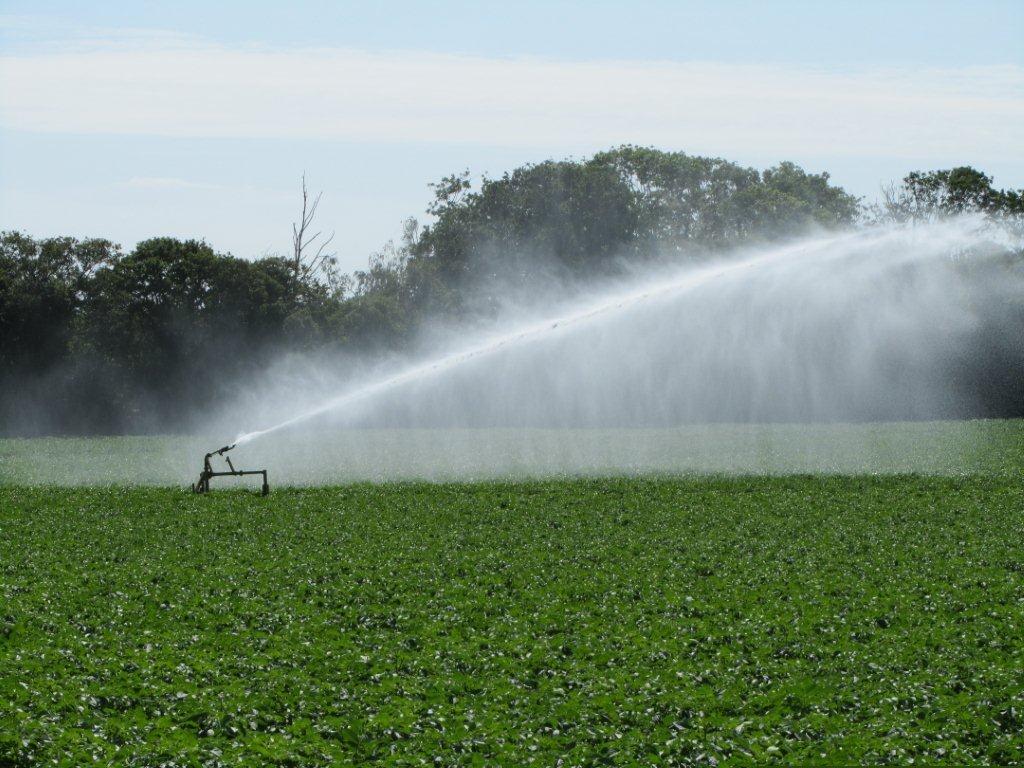 Irrigation Pot