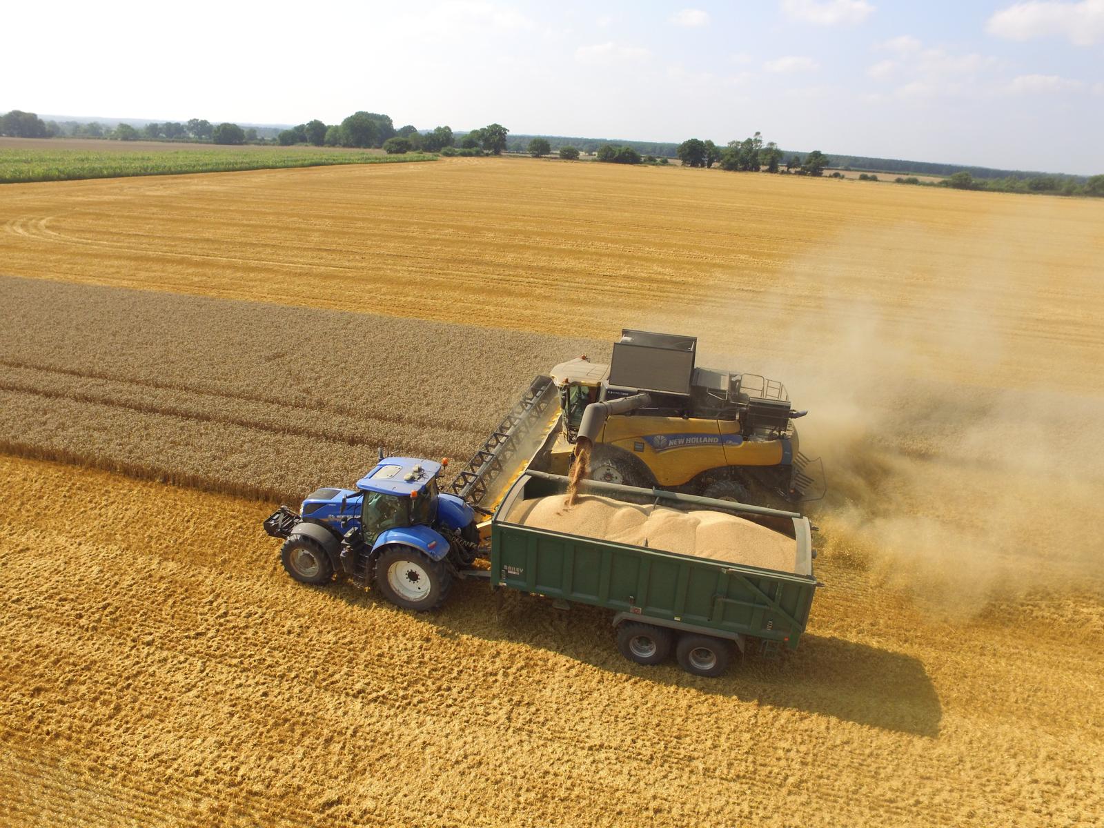 Harvest 2023 1